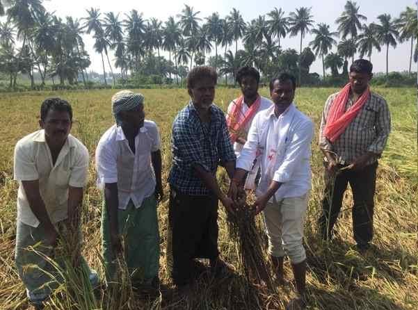 పెడన నియోజకవర్గ