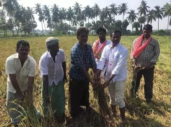 పెడన నియోజకవర్గ