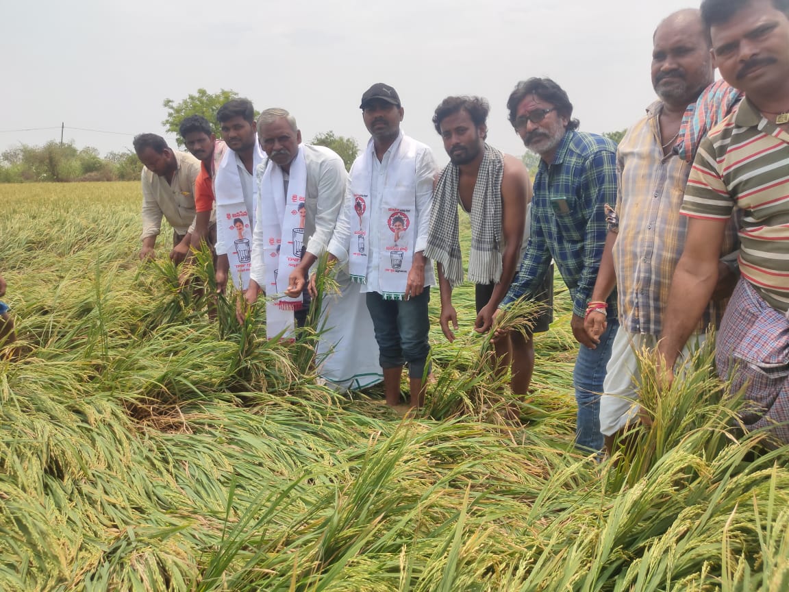 జనసేన