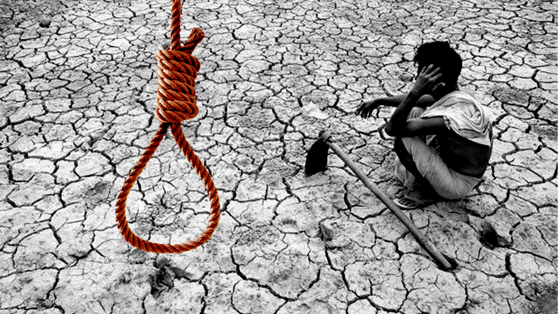 farmer suicides