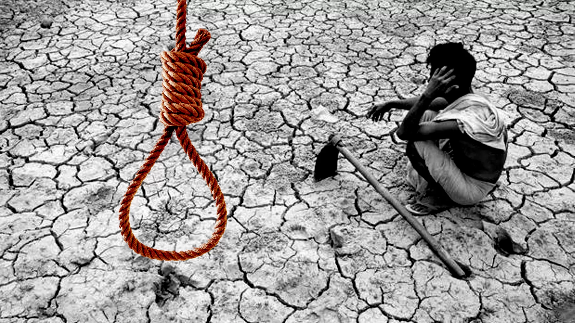 farmer suicides