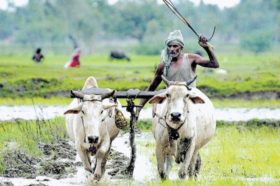 అన్నదాత