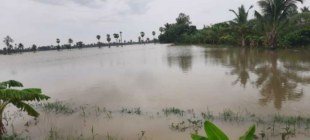 వరద