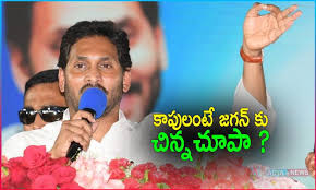 కాపు నేస్తం