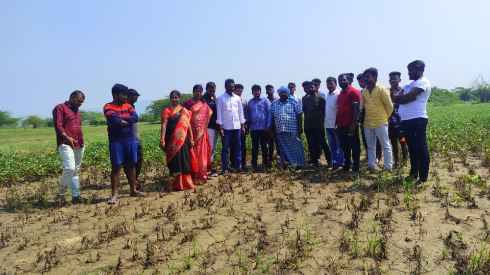 అక్కల గాంధీ