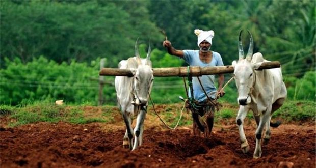 అన్నదాత