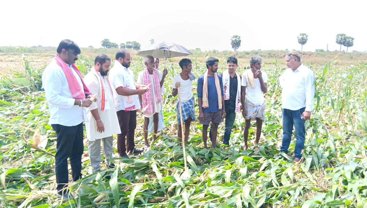 జనసేన