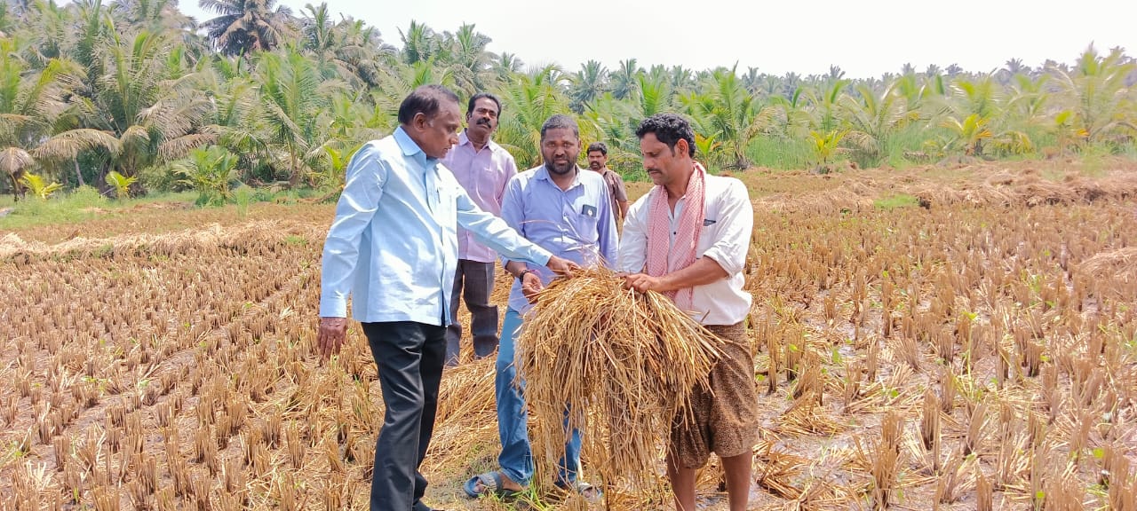 బొంతు రాజేశ్వరరావు