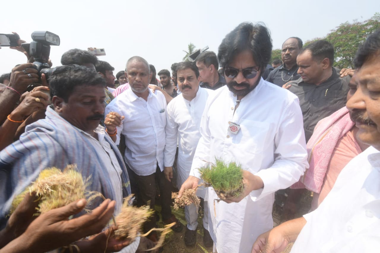 పవన్ కళ్యాణ్