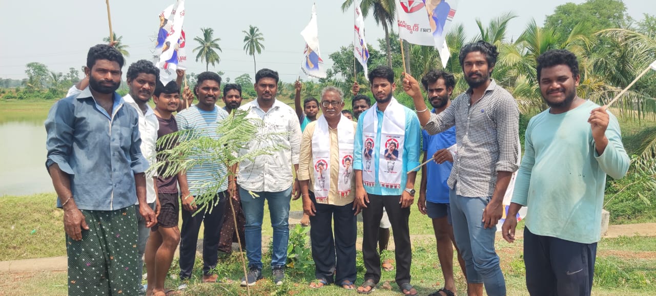 పర్యావరణ