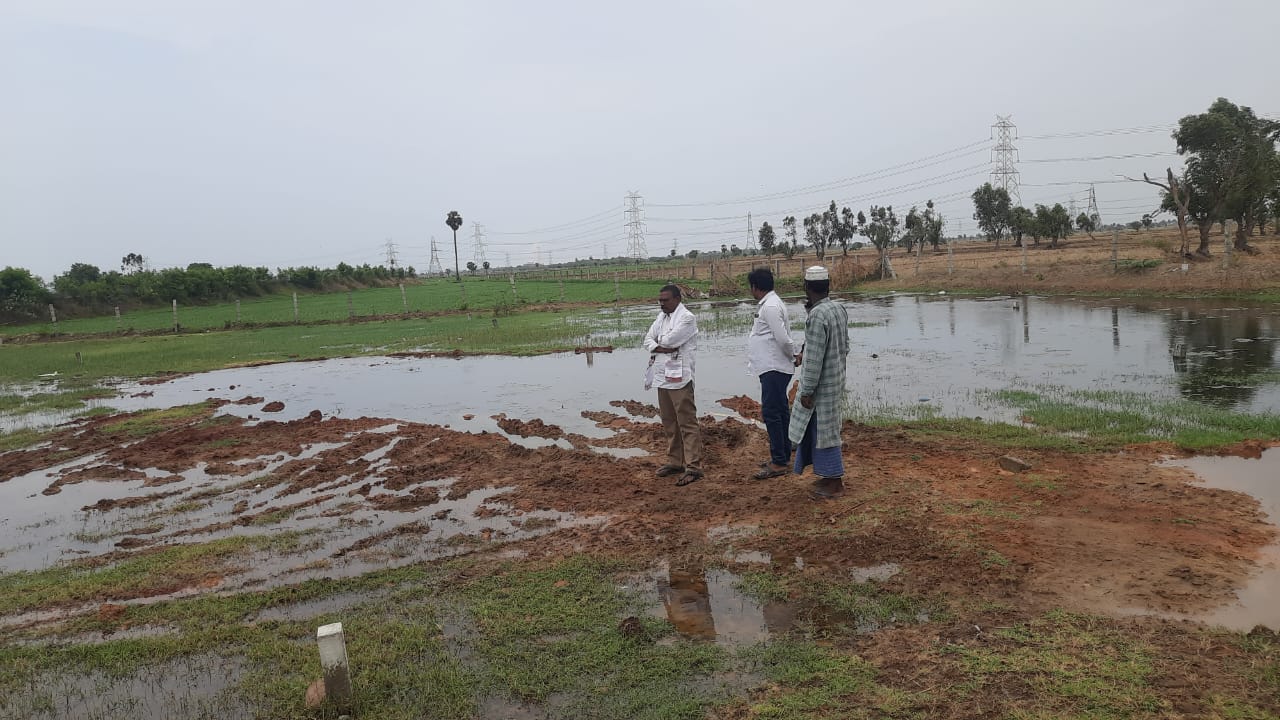 జగనన్న