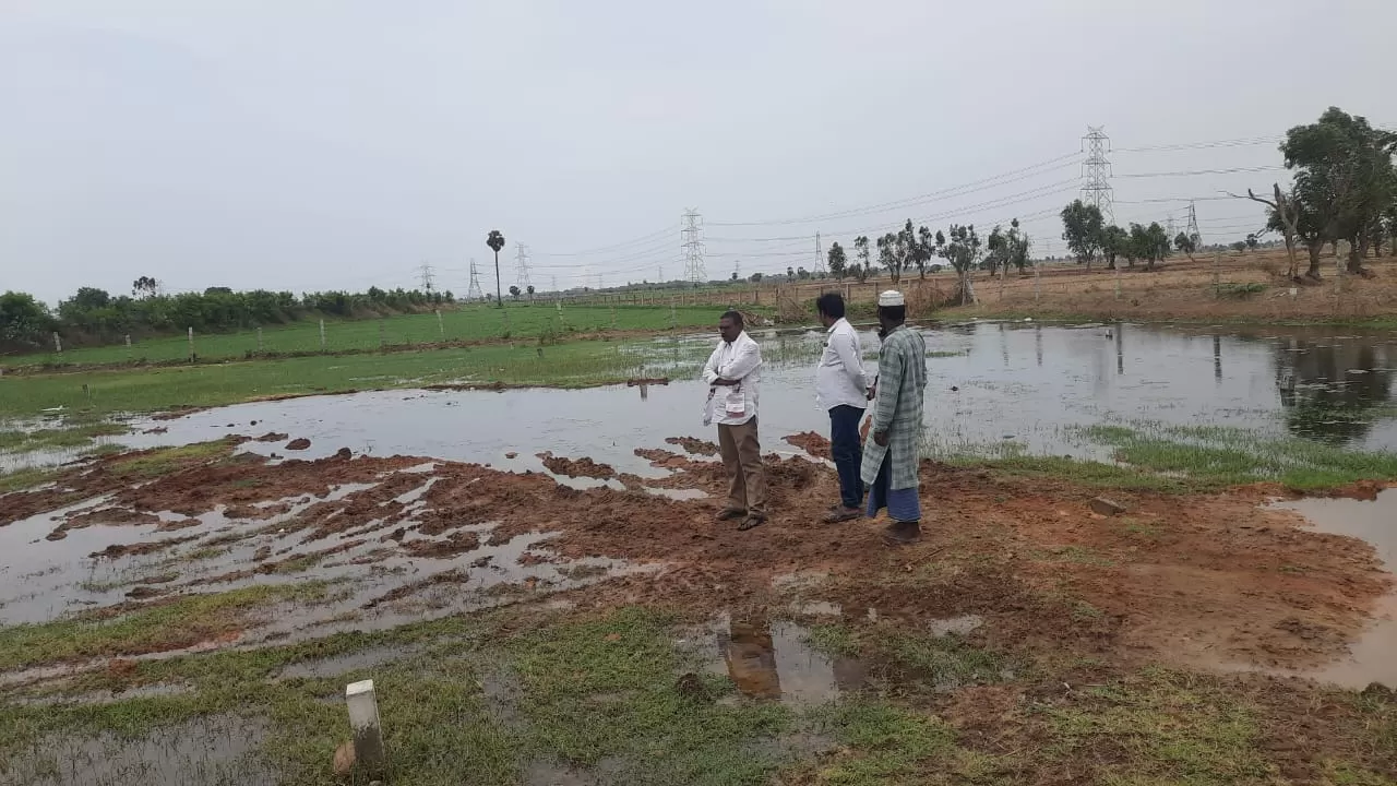 జగనన్న