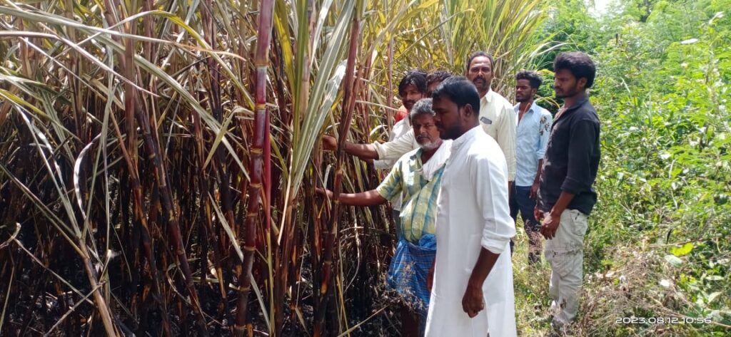 విద్యుత్ శాఖ