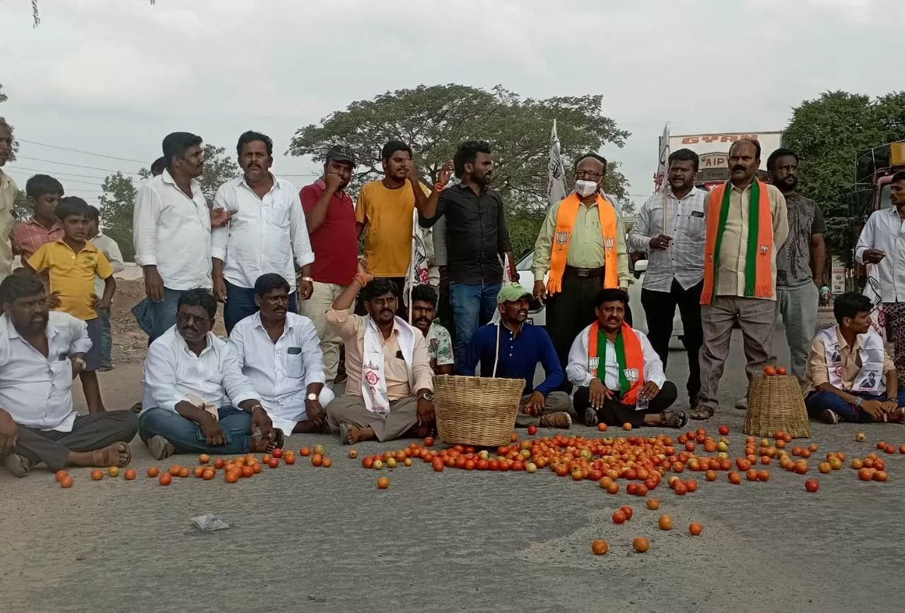 టమోటా