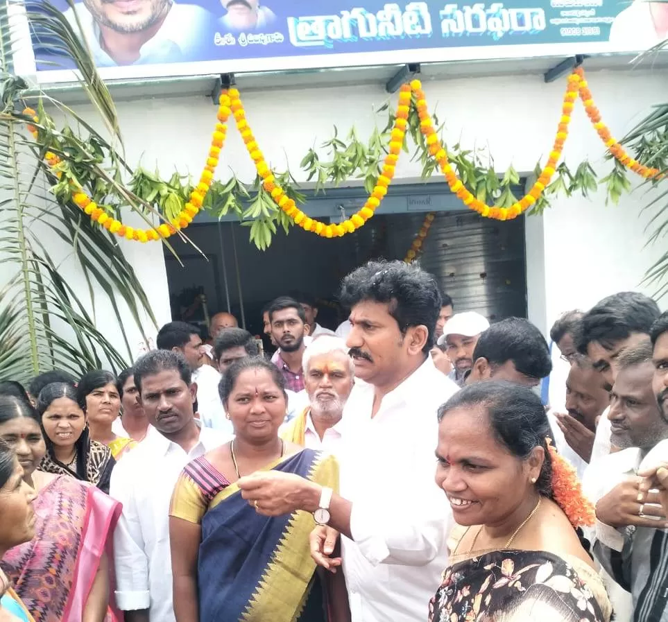 వాటర్ ప్లాంట్