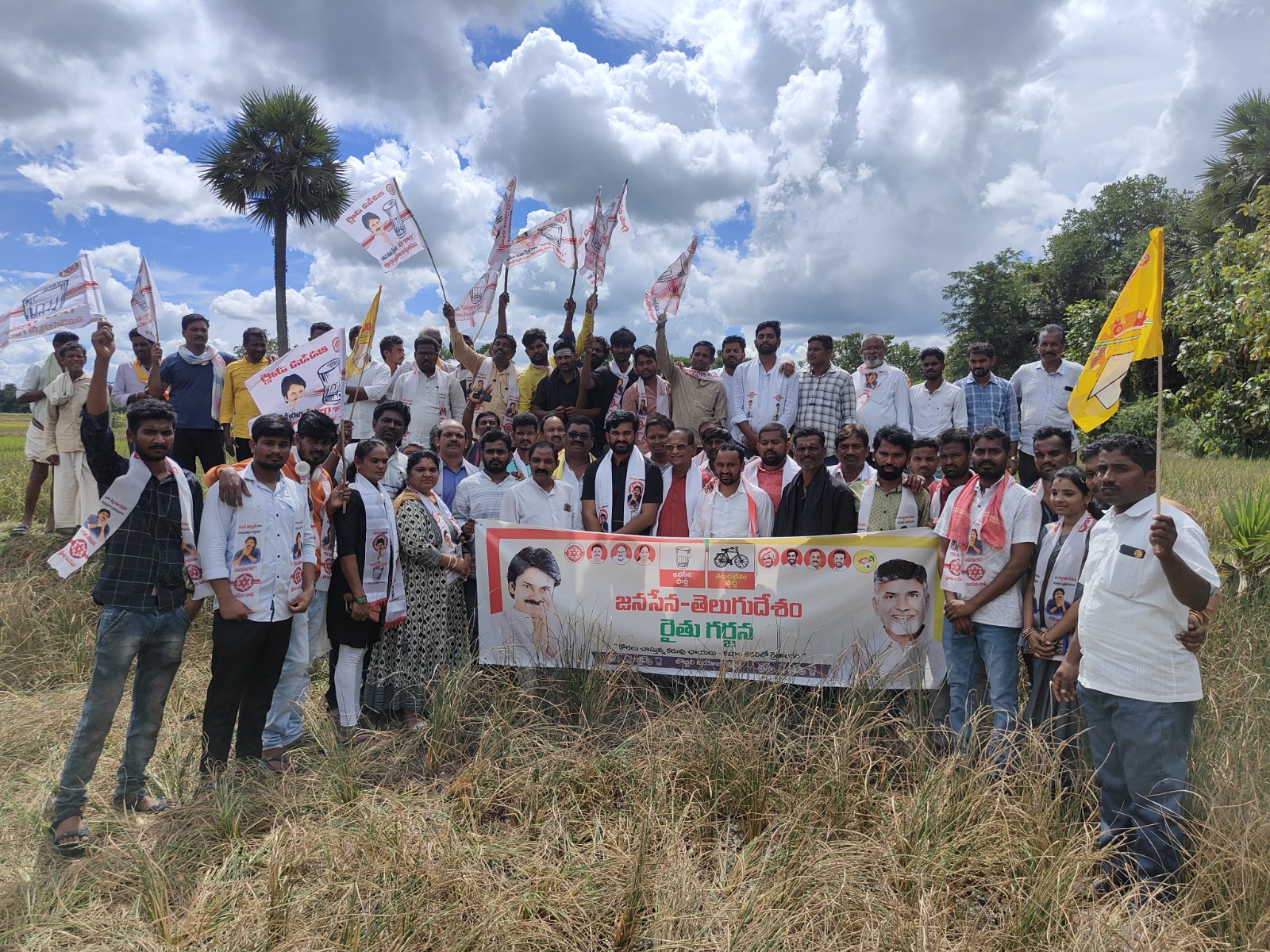 బొబ్బిలి