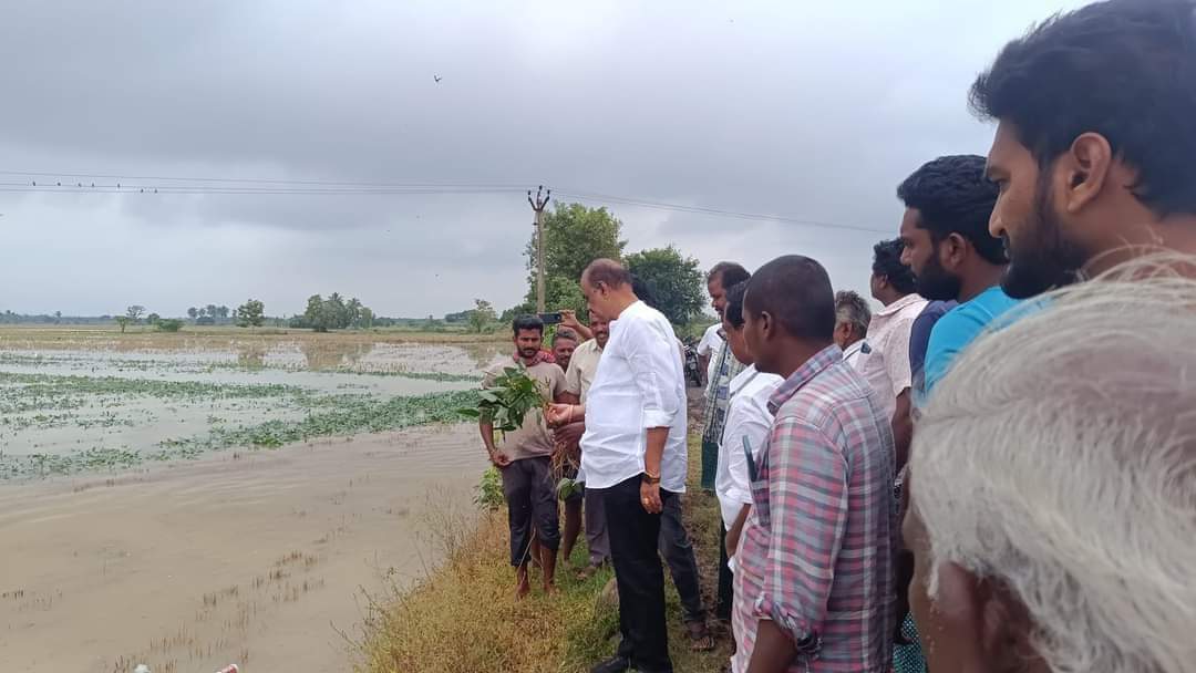 మిచౌంగ్