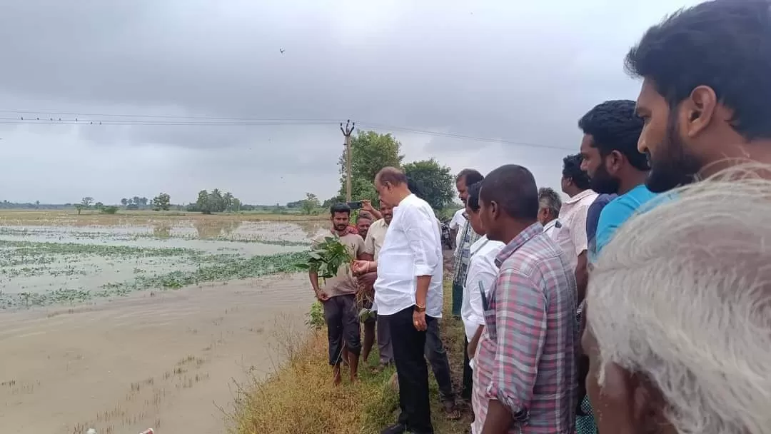 మిచౌంగ్