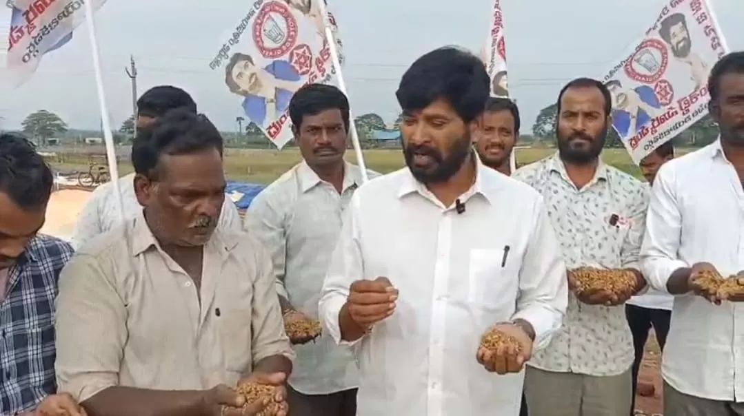 ధాన్యాన్ని