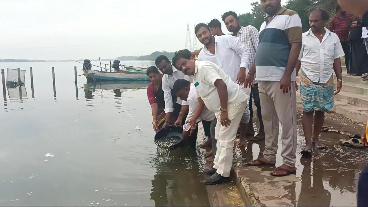 జనసేన